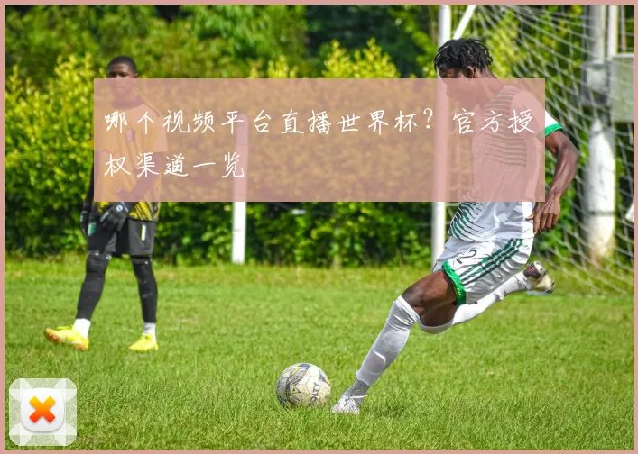 哪个视频平台直播世界杯？官方授权渠道一览
